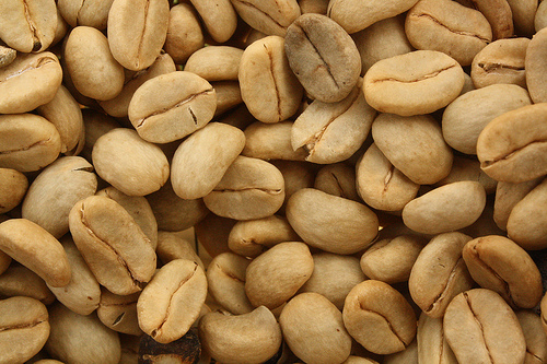 Logo Công ty TNHH Trà Cà Phê Á Châu